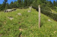 2015-07-01_1Pano-bei-Lacke (211).JPG
